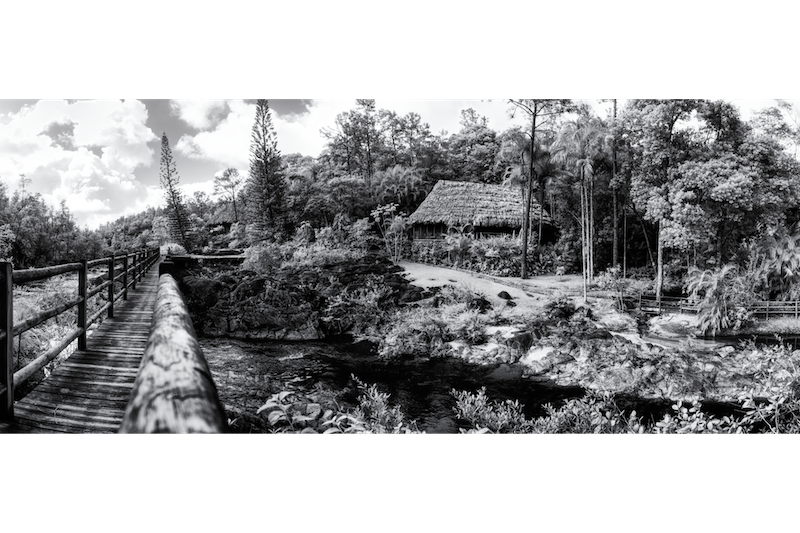 Panoramic | Polychromitic